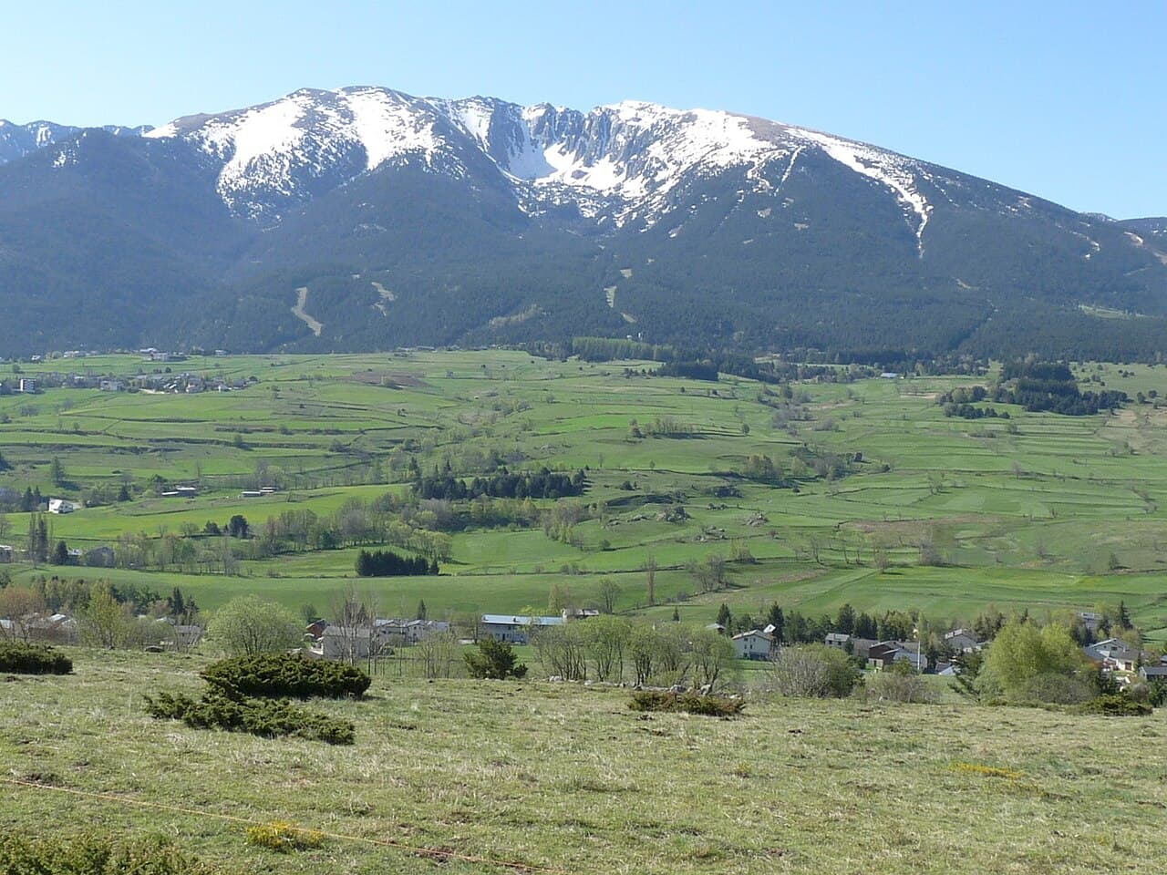 Cambra d'Ase