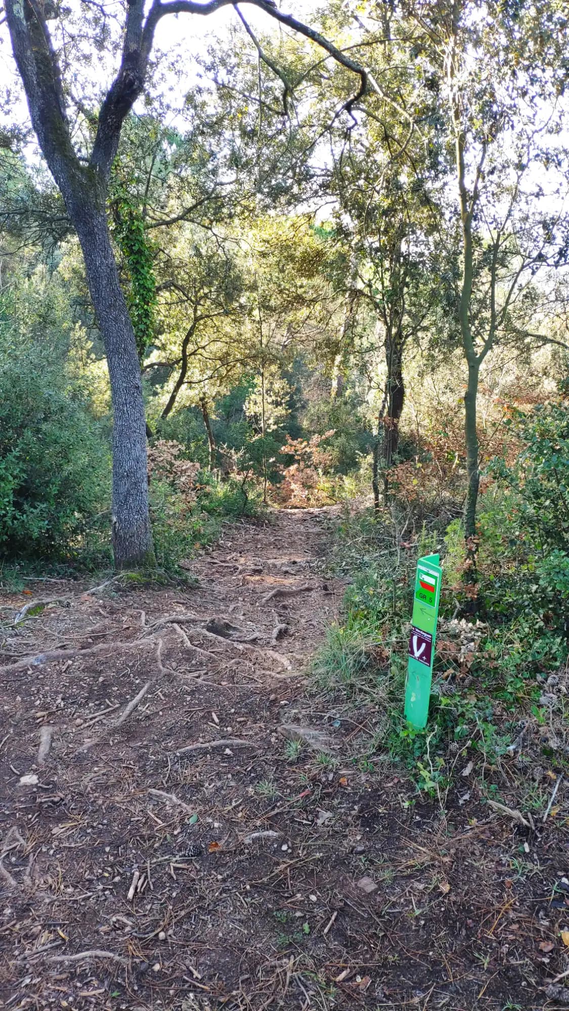 Tagament desde Aiguafreda (Avençó)