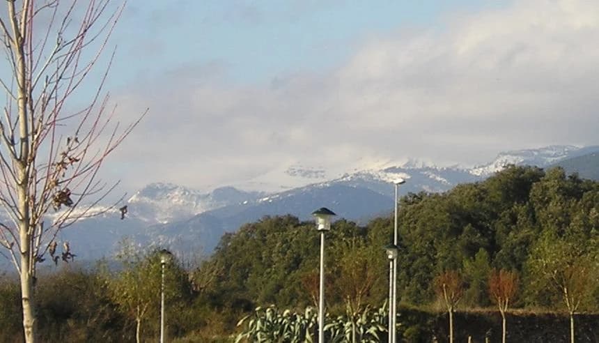 Comanegra