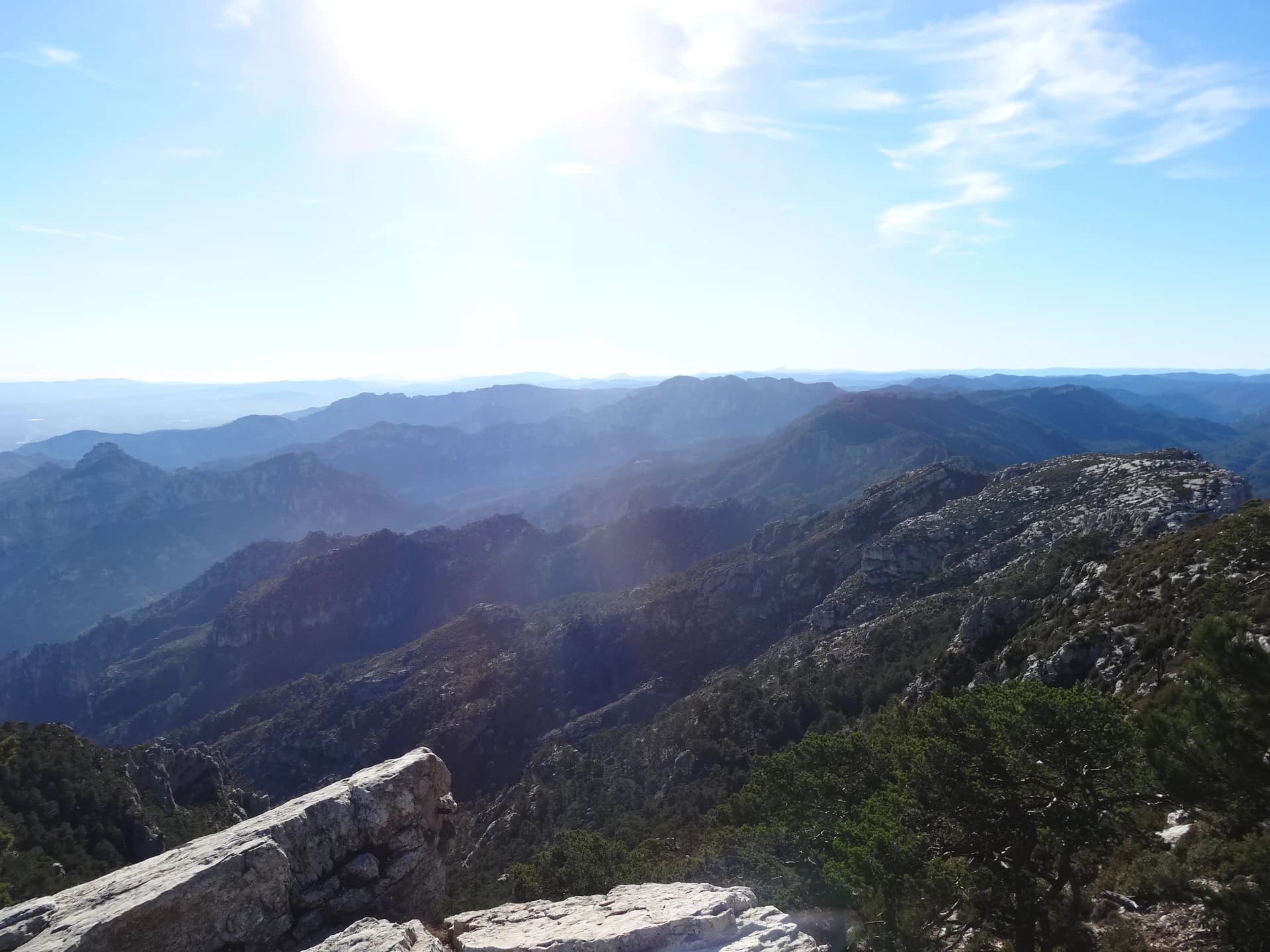Montcaro clàssica