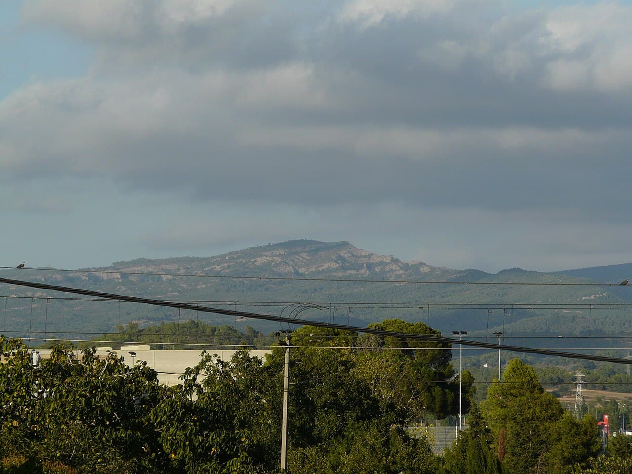 el Cogulló