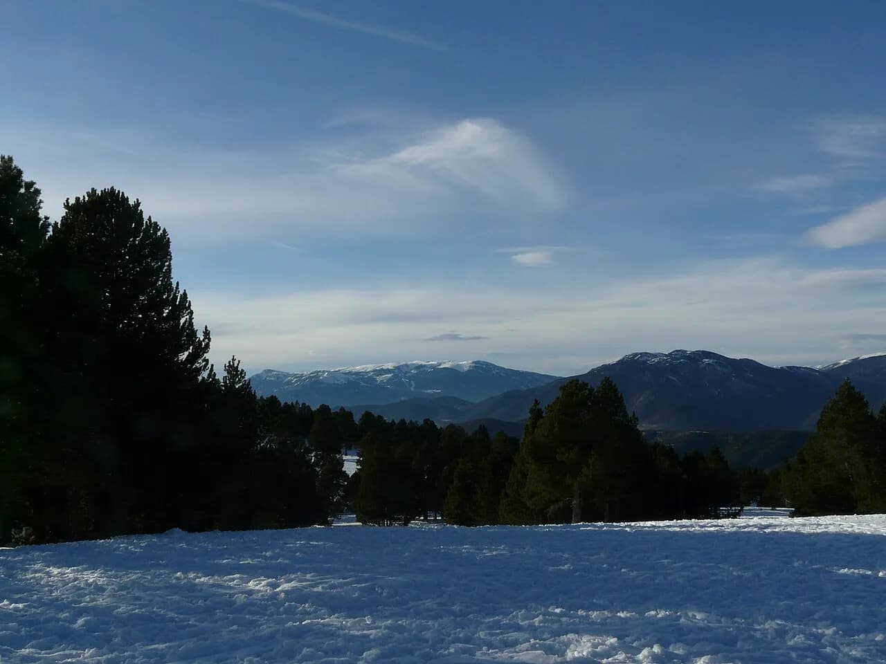 el Pedró