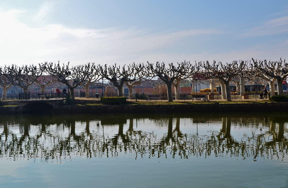 MARIA ROSA FERRE ✿ - Passeig del Terrall, les Borges Blanques, Garrigues