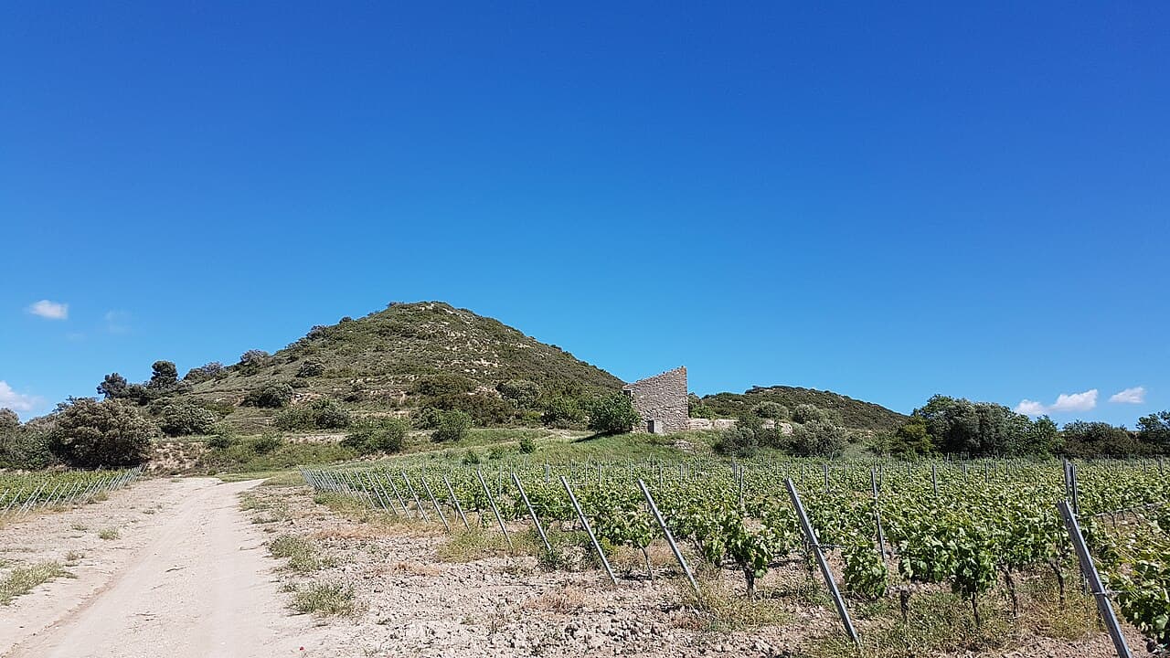 els Bessons