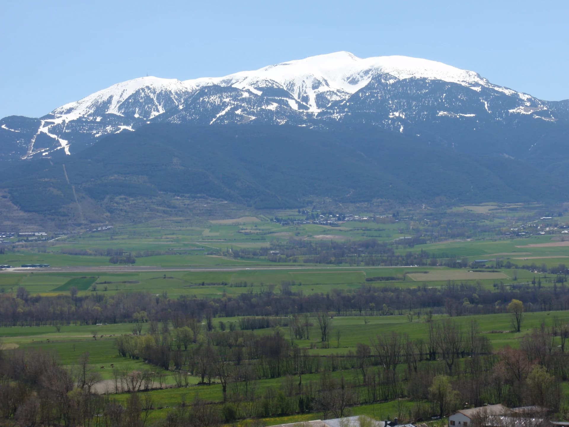 la Tosa