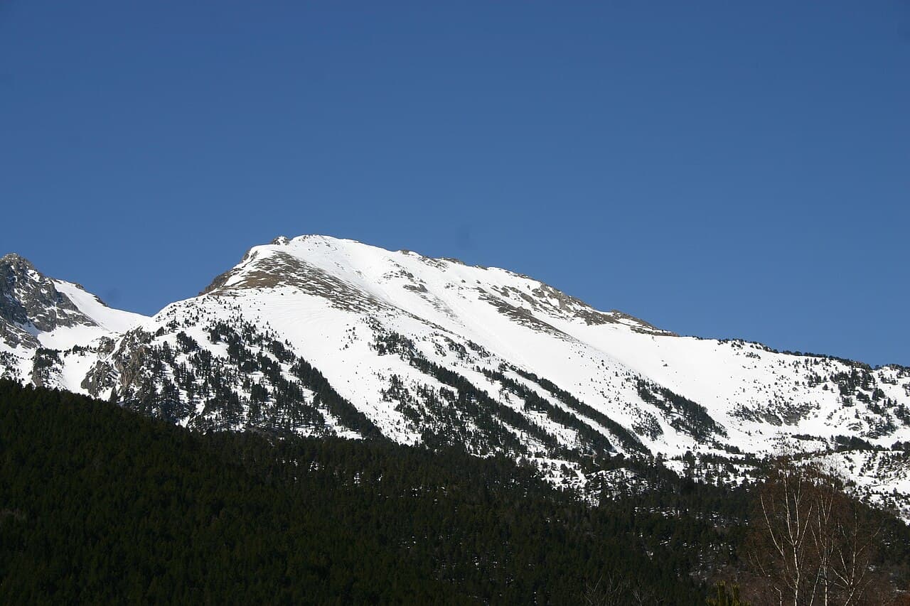 lo Tésol