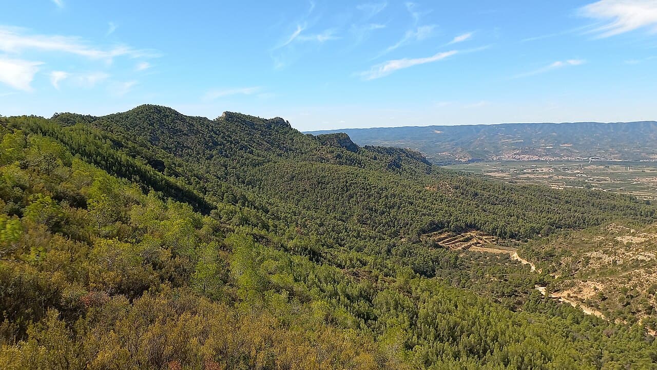 Masquer11 - Vessant nord de lo Tormo, la Torre de l'Espanyol