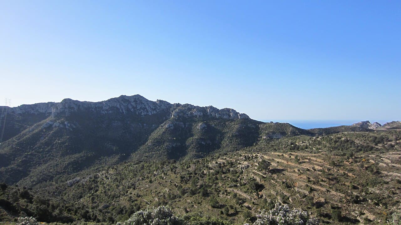 Molló Puntaire
