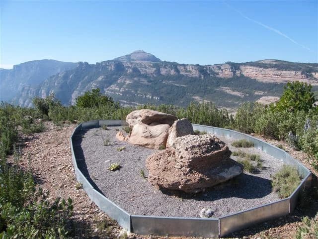 Coll d'Estenalles - Obits - Montcau