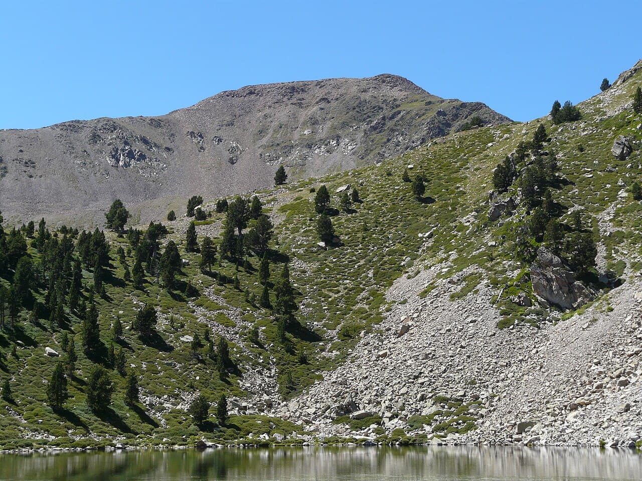 Monturull