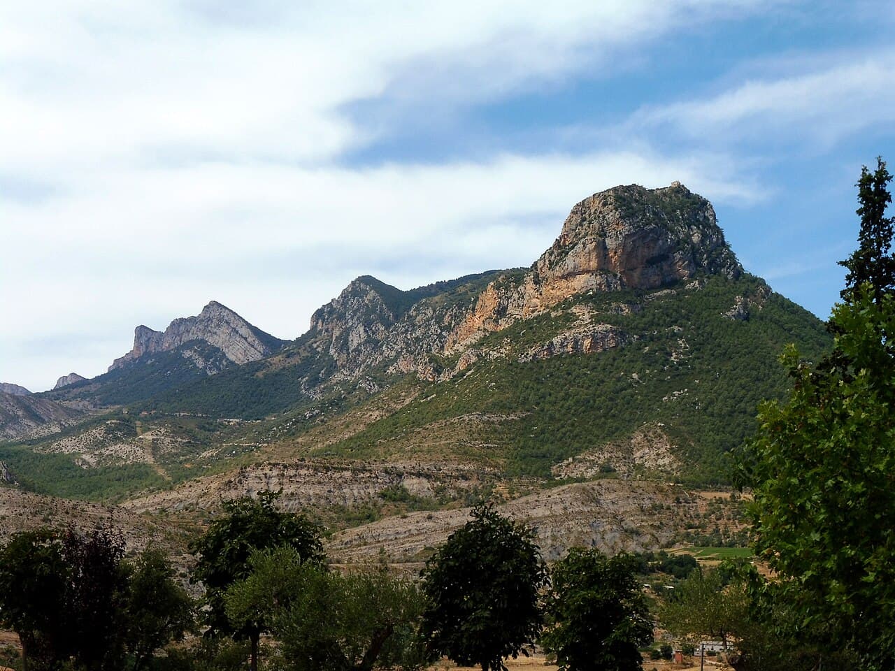 Isidre blanc - La muntanya de Santa Fe i la serra de Sant Joan des de Fígols