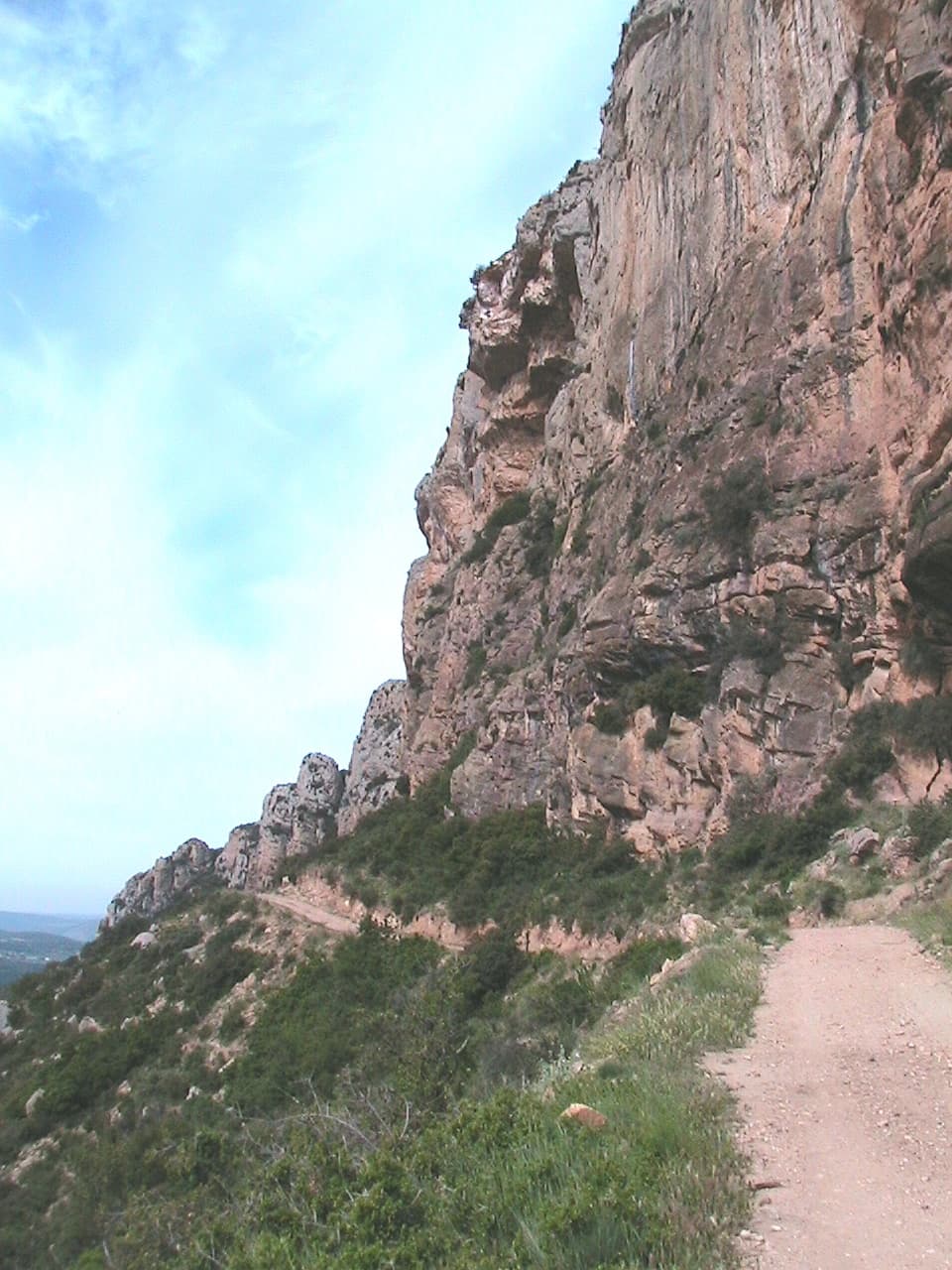 Pala Alta