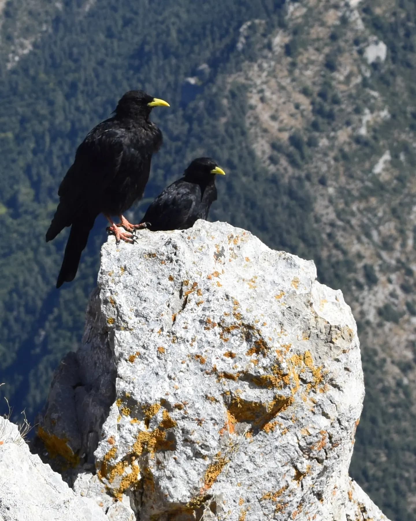 Pedraforca