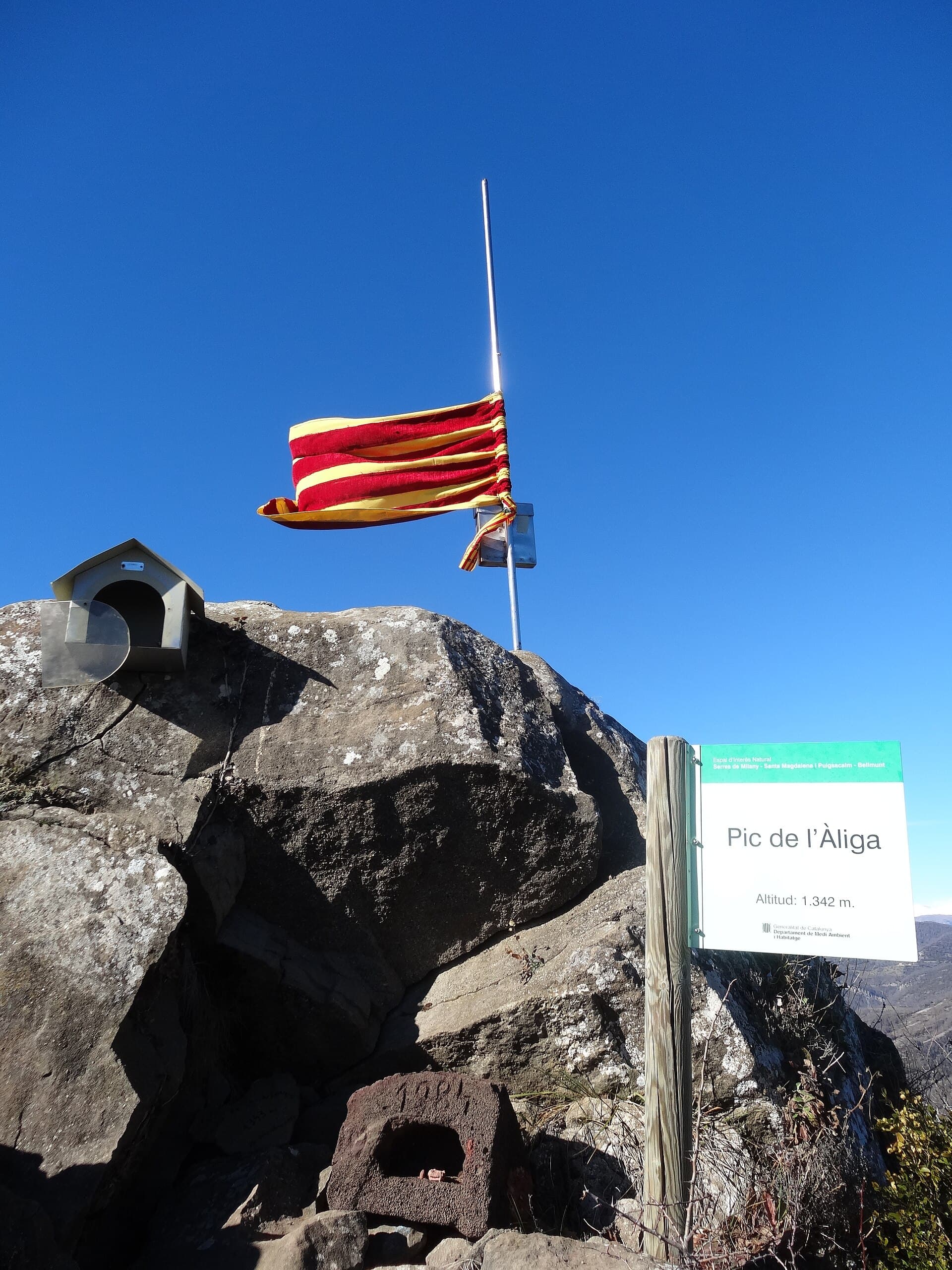Pic de l'Àliga