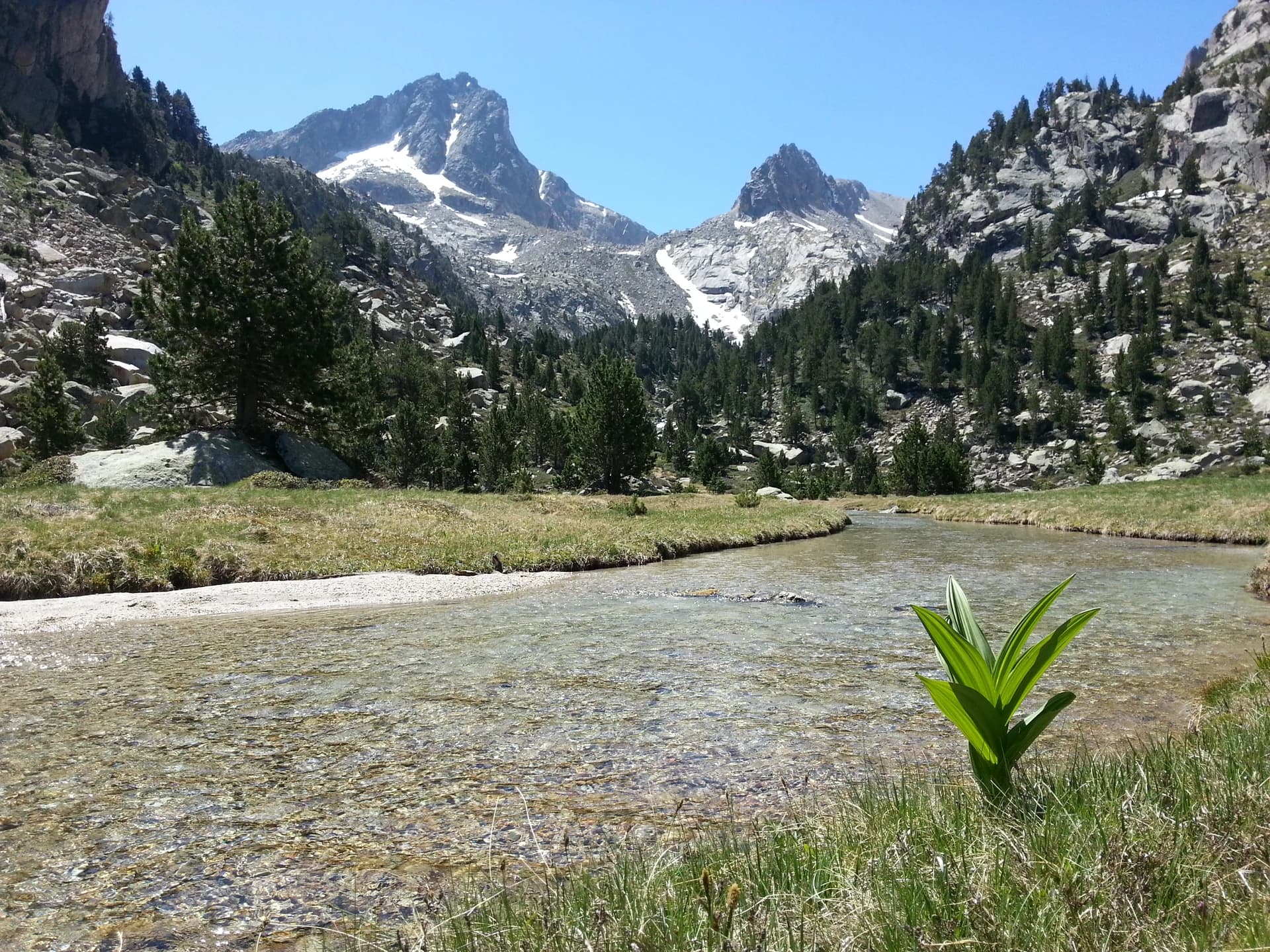 Sallente-Pic de Peguera-Refugi de Colomina