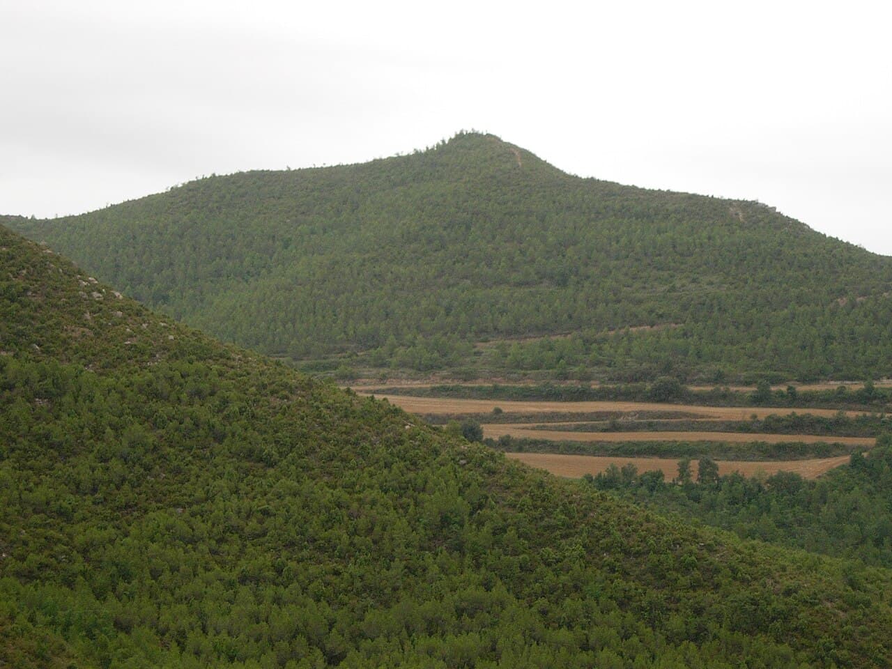 Puig de Sant Miquel