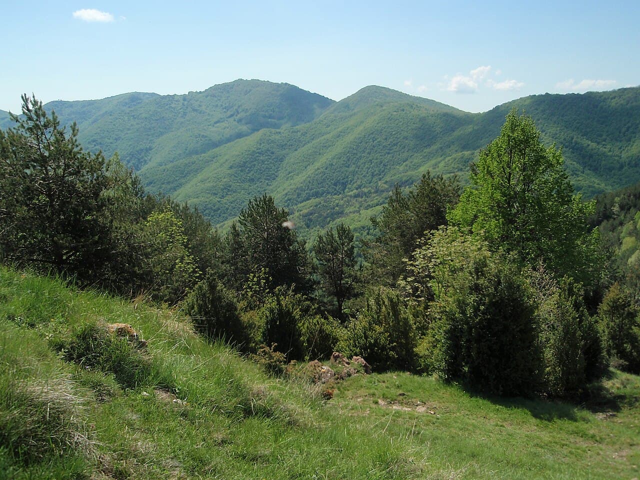Jordiipa - Puig Ou seen from La Creueta pas (N.W.). Alta Garrotxa, Catalonia.
