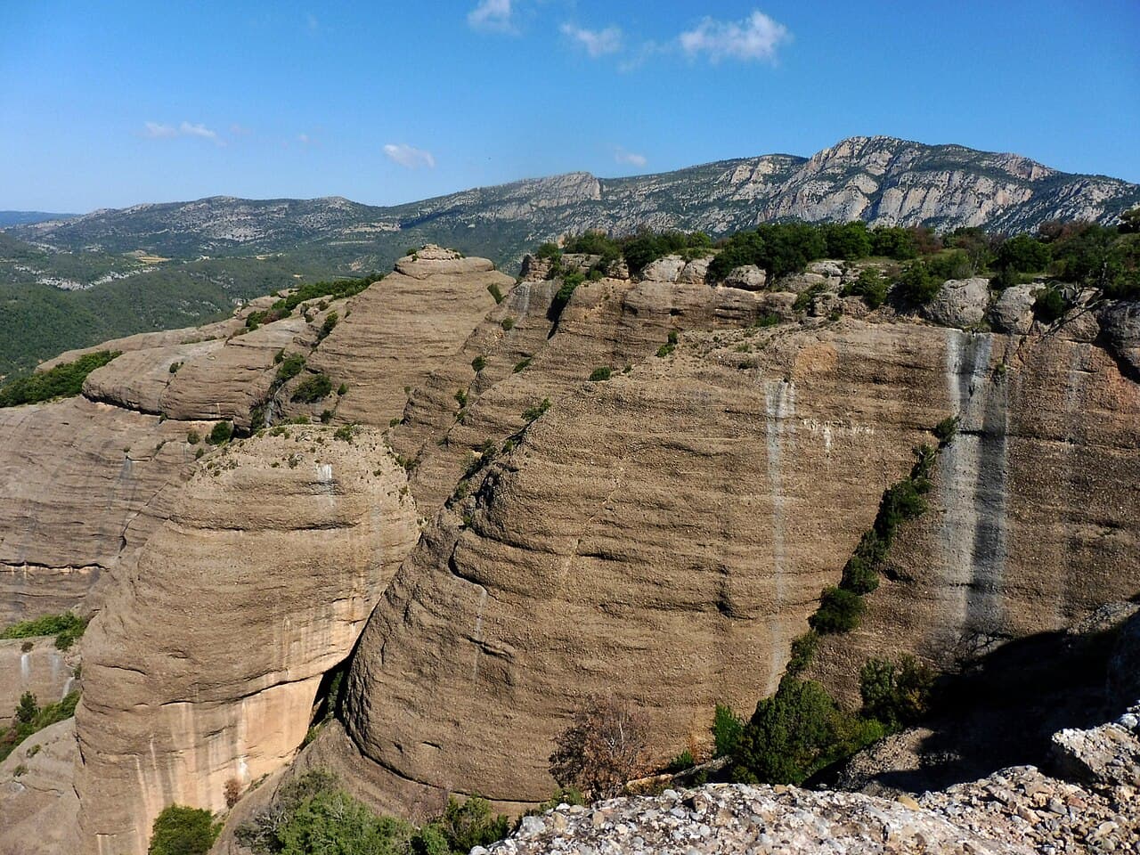 Isidre blanc - This is a a photo of a natural area in Catalonia, Spain, with id: