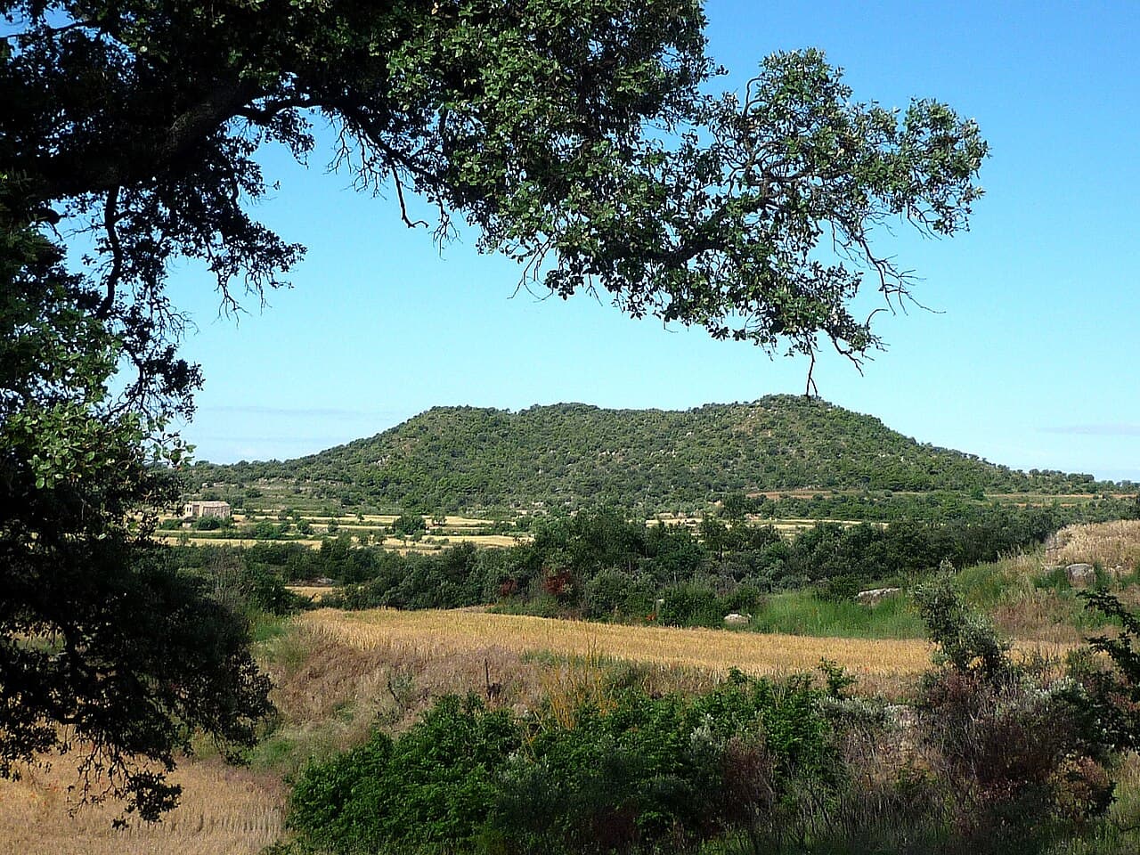Tossal de la Creu