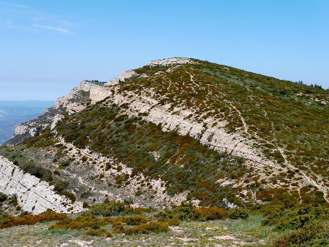 Isidre blanc - This is a a photo of a natural area in Catalonia, Spain, with id: