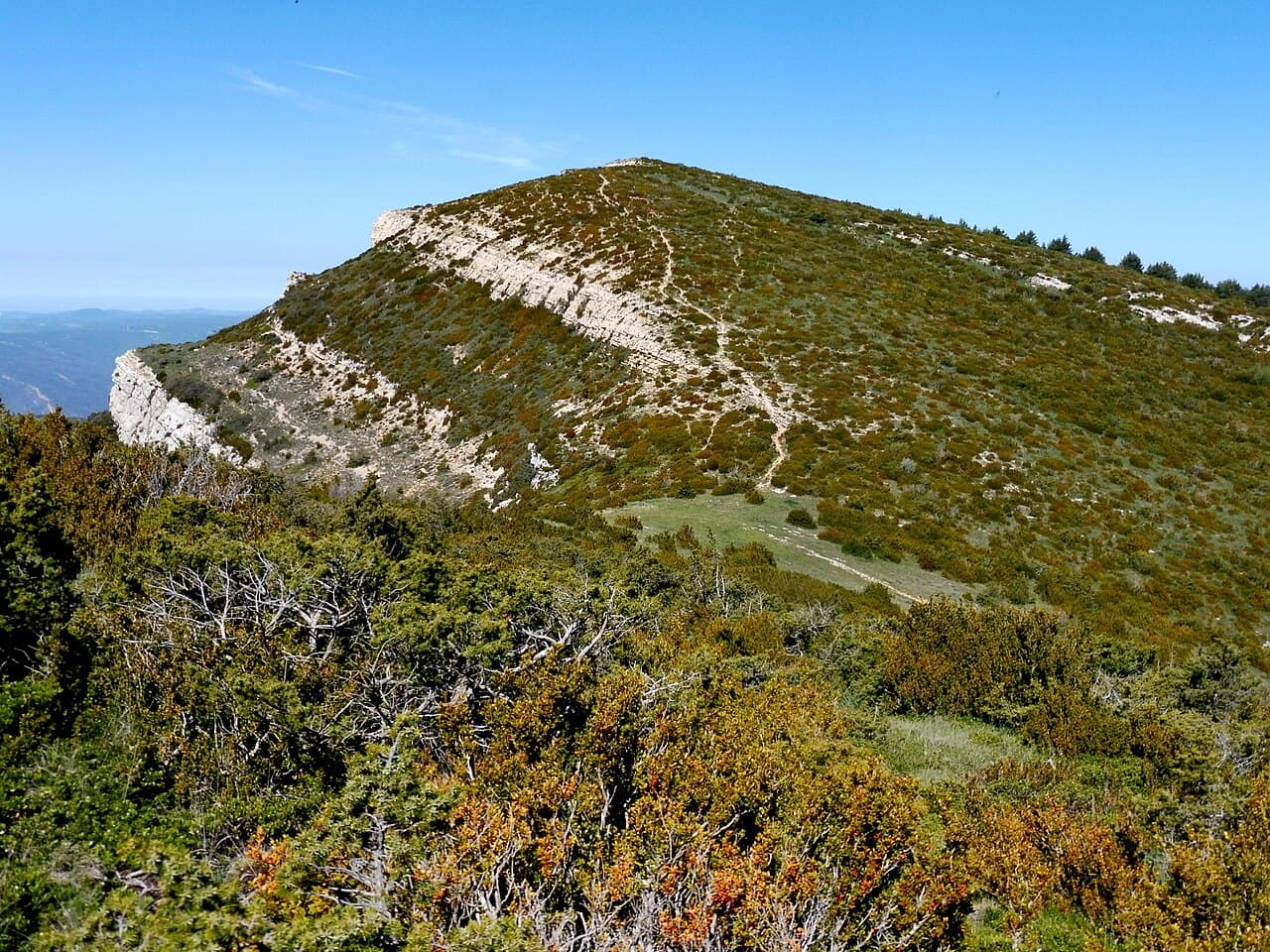 Isidre blanc - This is a a photo of a natural area in Catalonia, Spain, with id: