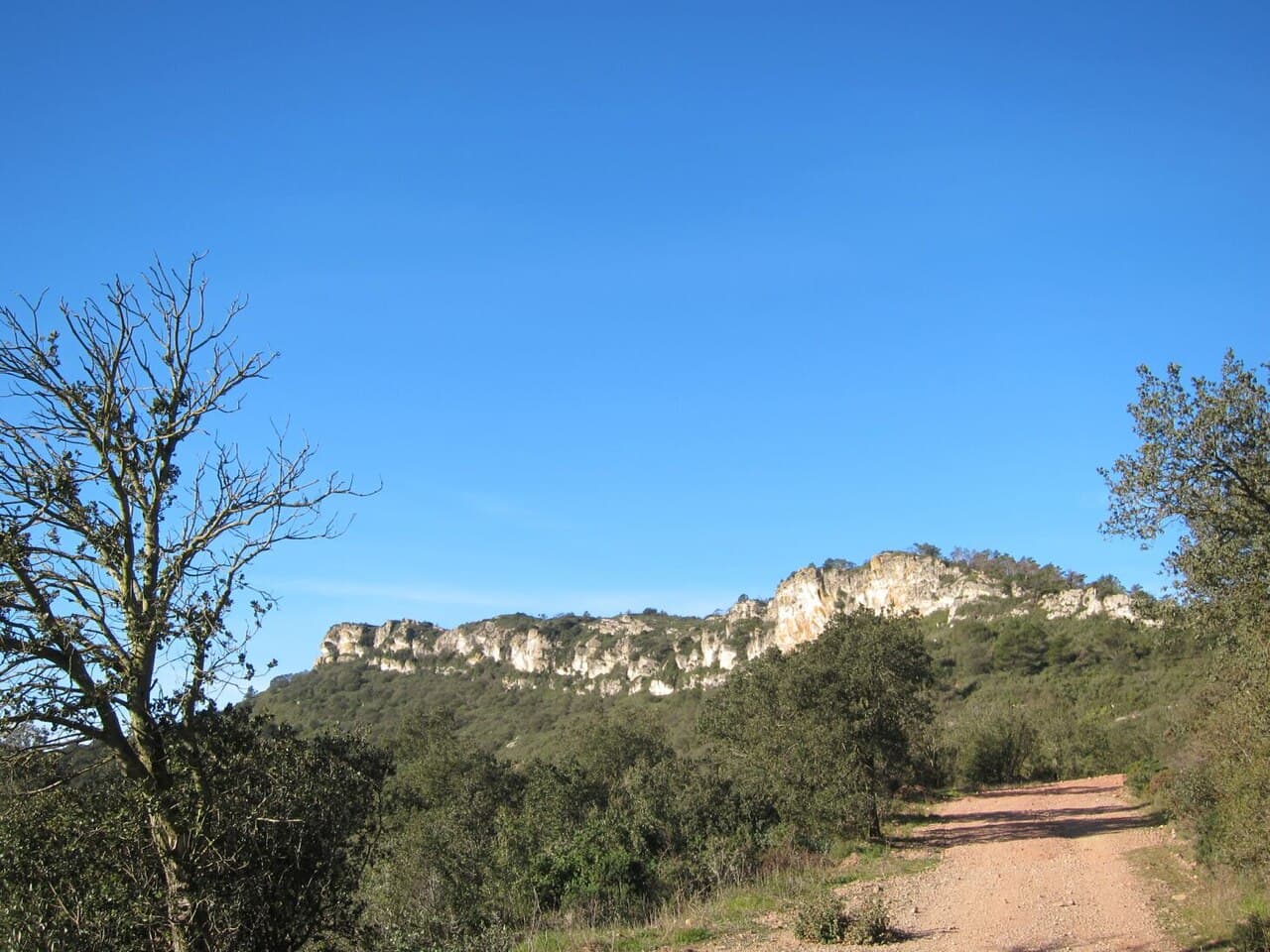 Tossal Gros