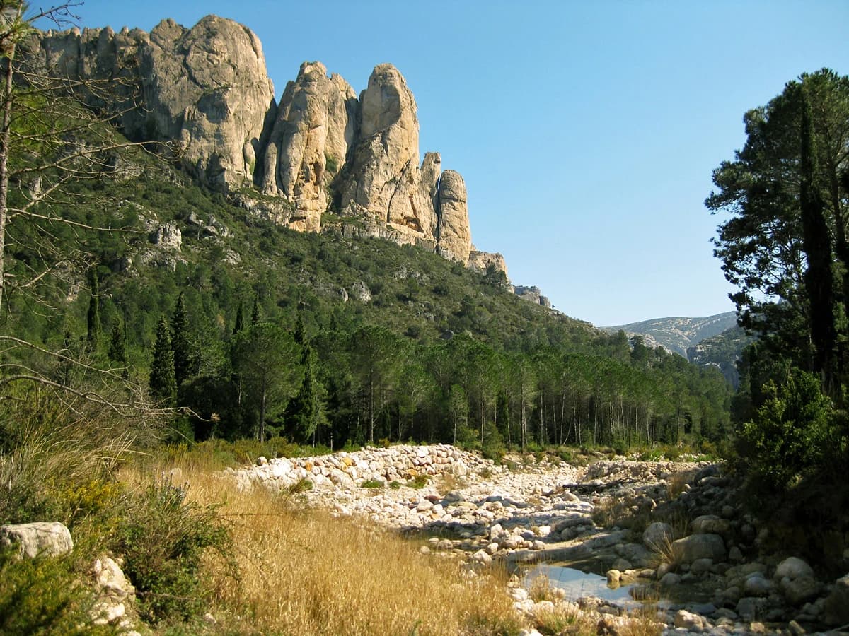 Tosseta Rasa - La Miranda de Terranyes (2x100 Cims FEEC) - Refugi del mas del Torrero (Terranyes) - Terranyes (Mirador)