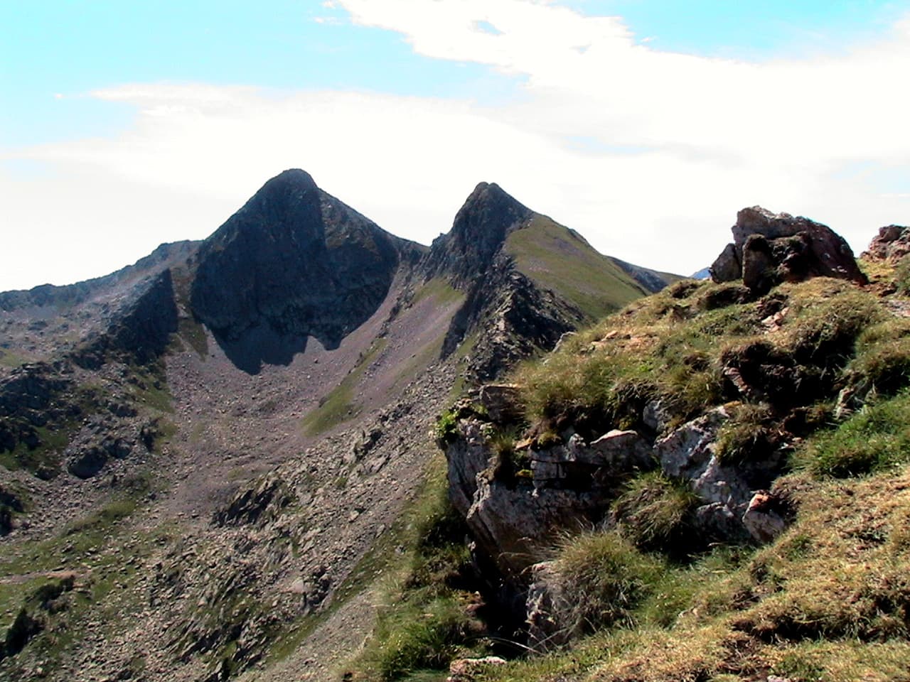 Isidre blanc - This is a a photo of a natural area in Catalonia, Spain, with id: