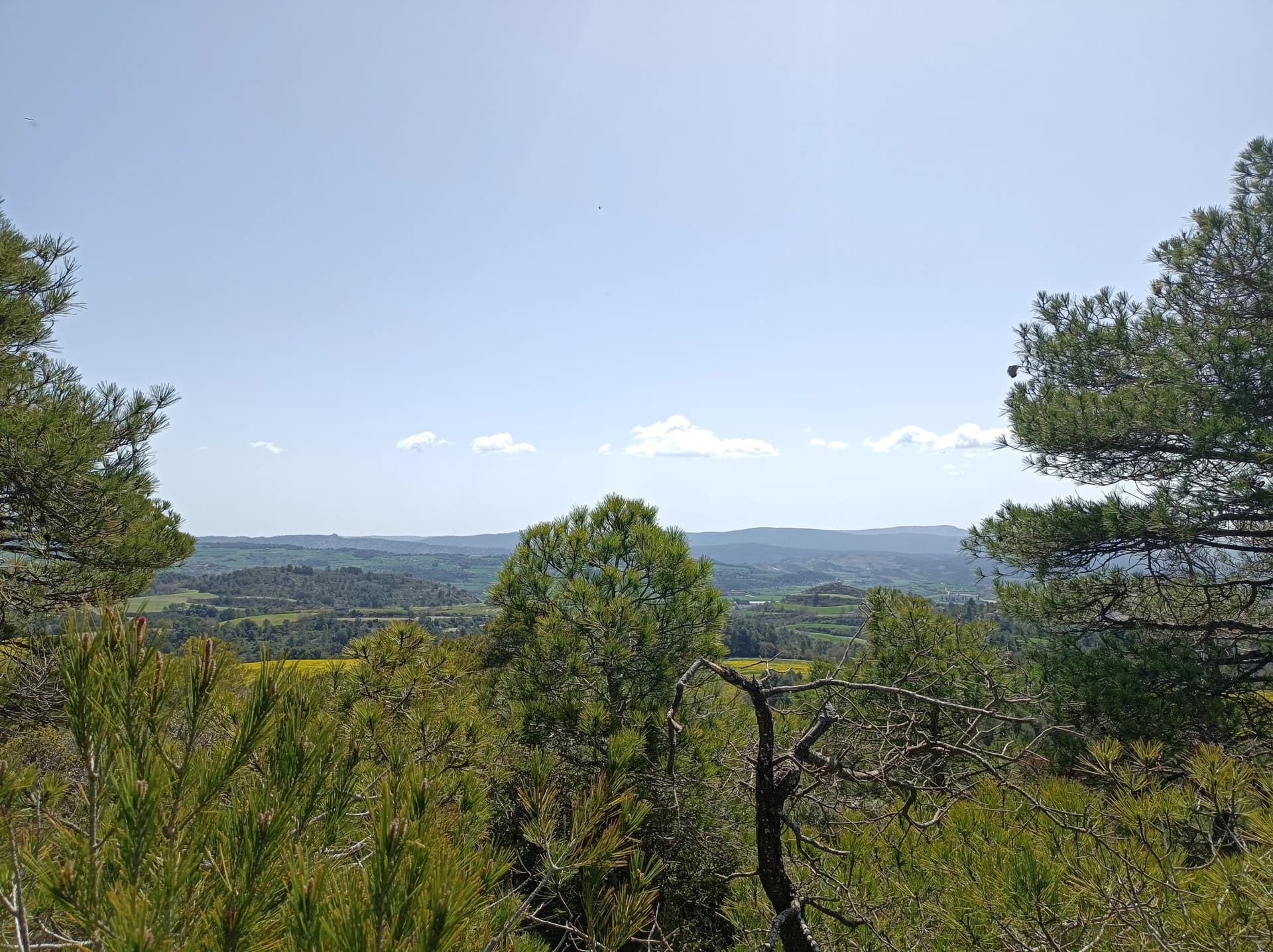 Wikiwiki - Vistes des del sostre comarcal de la Segarra.