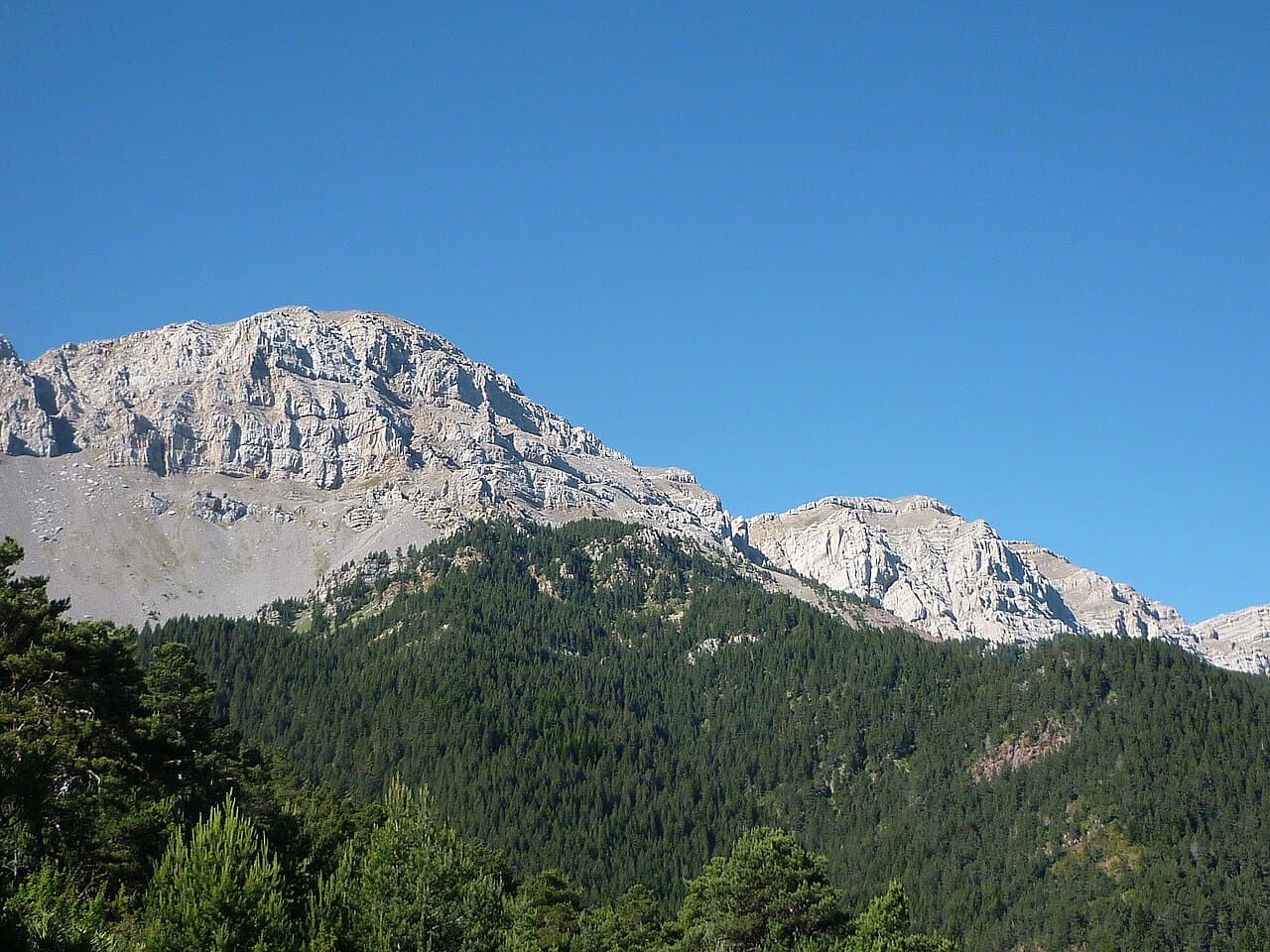 Vulturó
