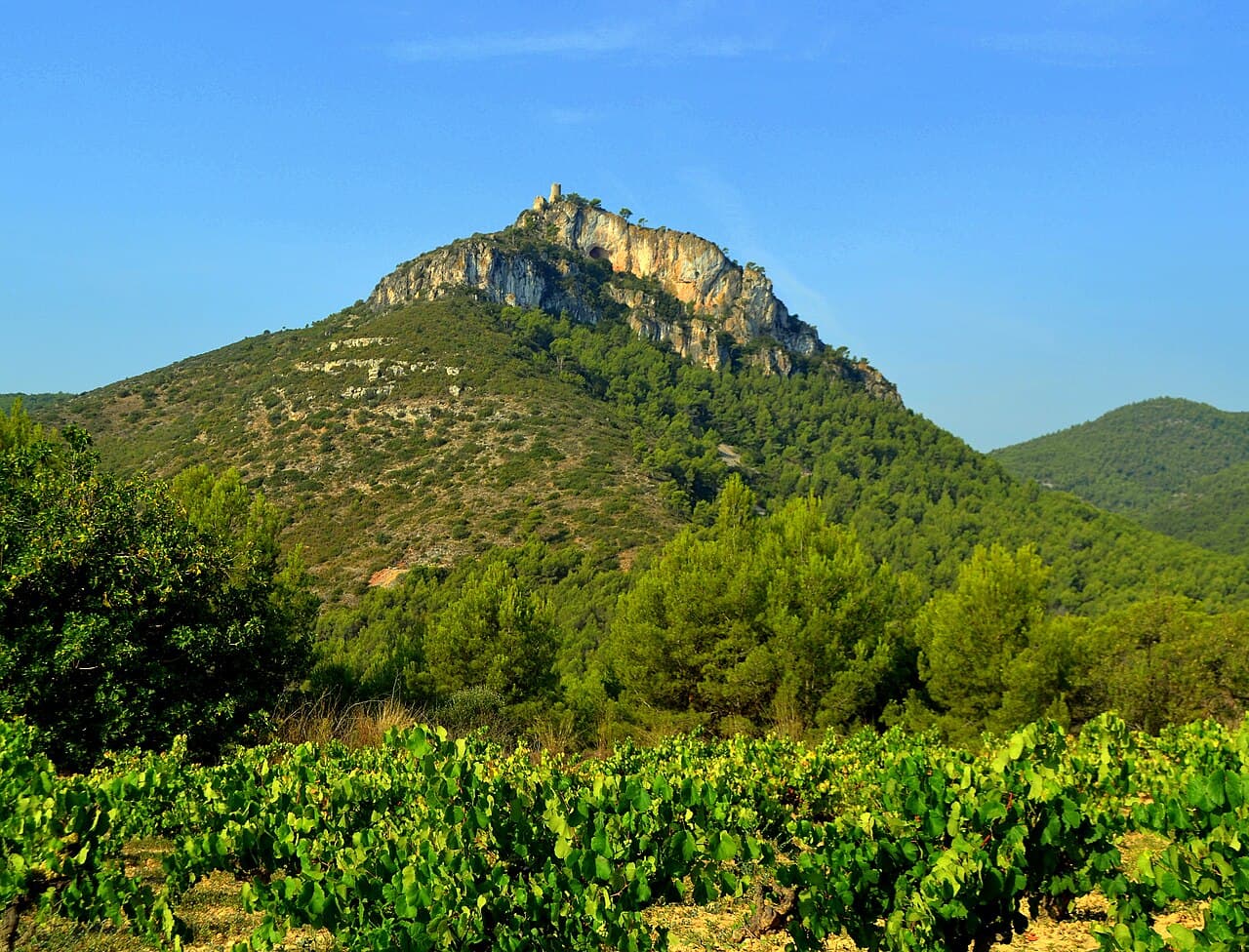 Angela Llop - Castellvell de la Marca (Castellví de la Marca)