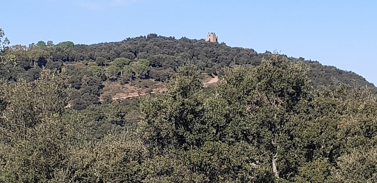 Muntanya de Sant Miquel