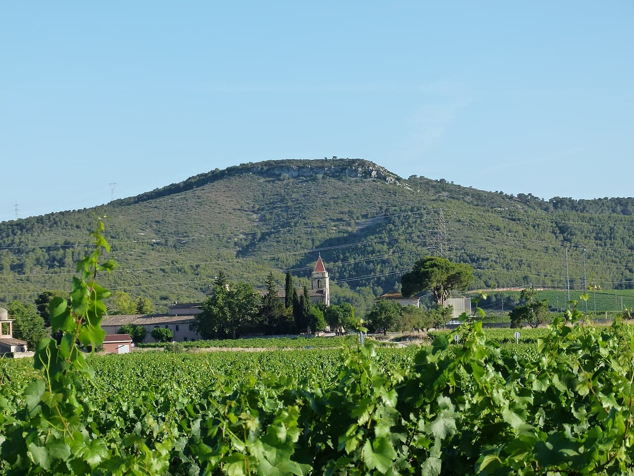 Pere López Brosa - Església de Sant Pere Molanta