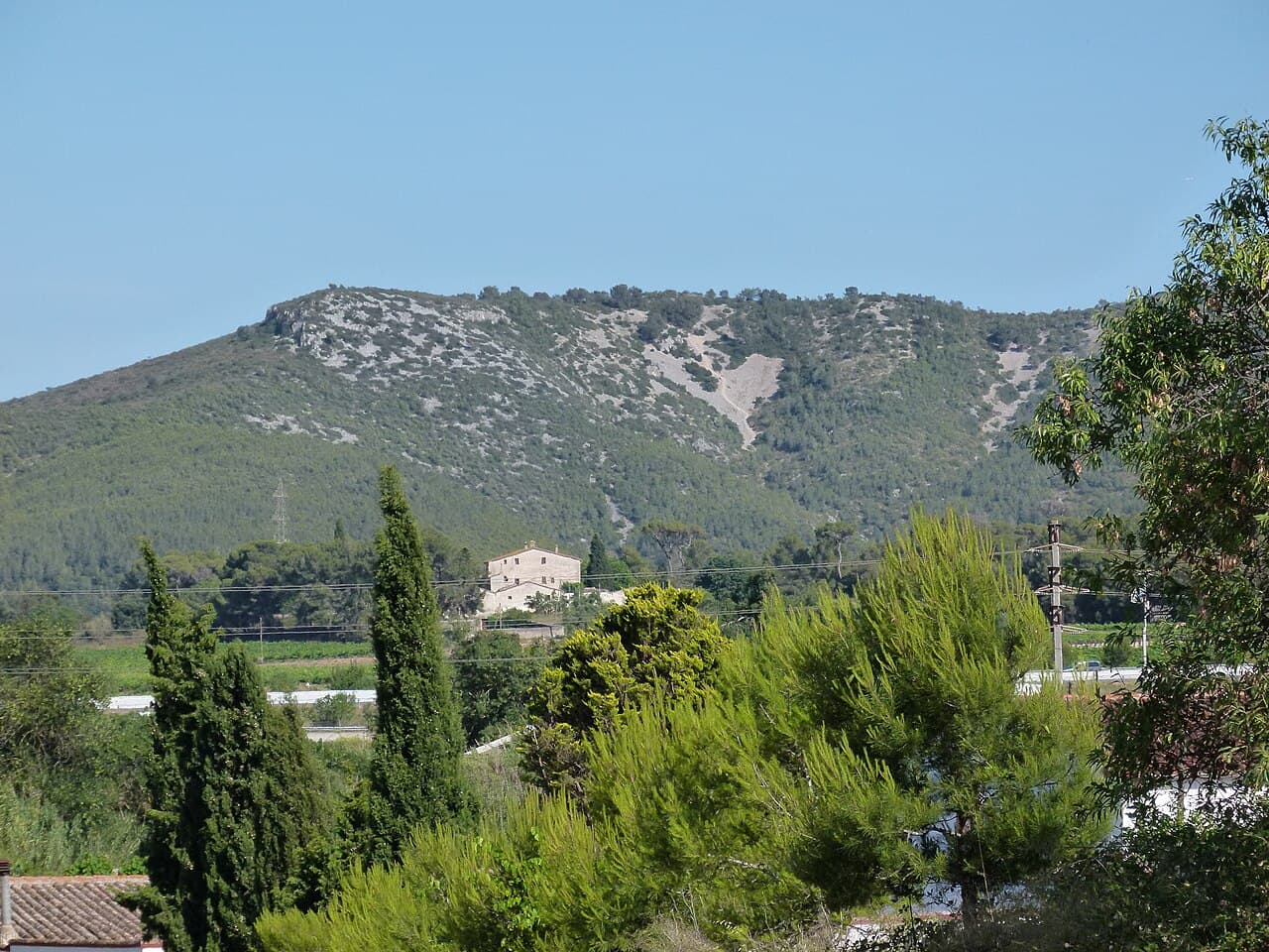 Pere López Brosa - Mas Rabassa - Olèrdola