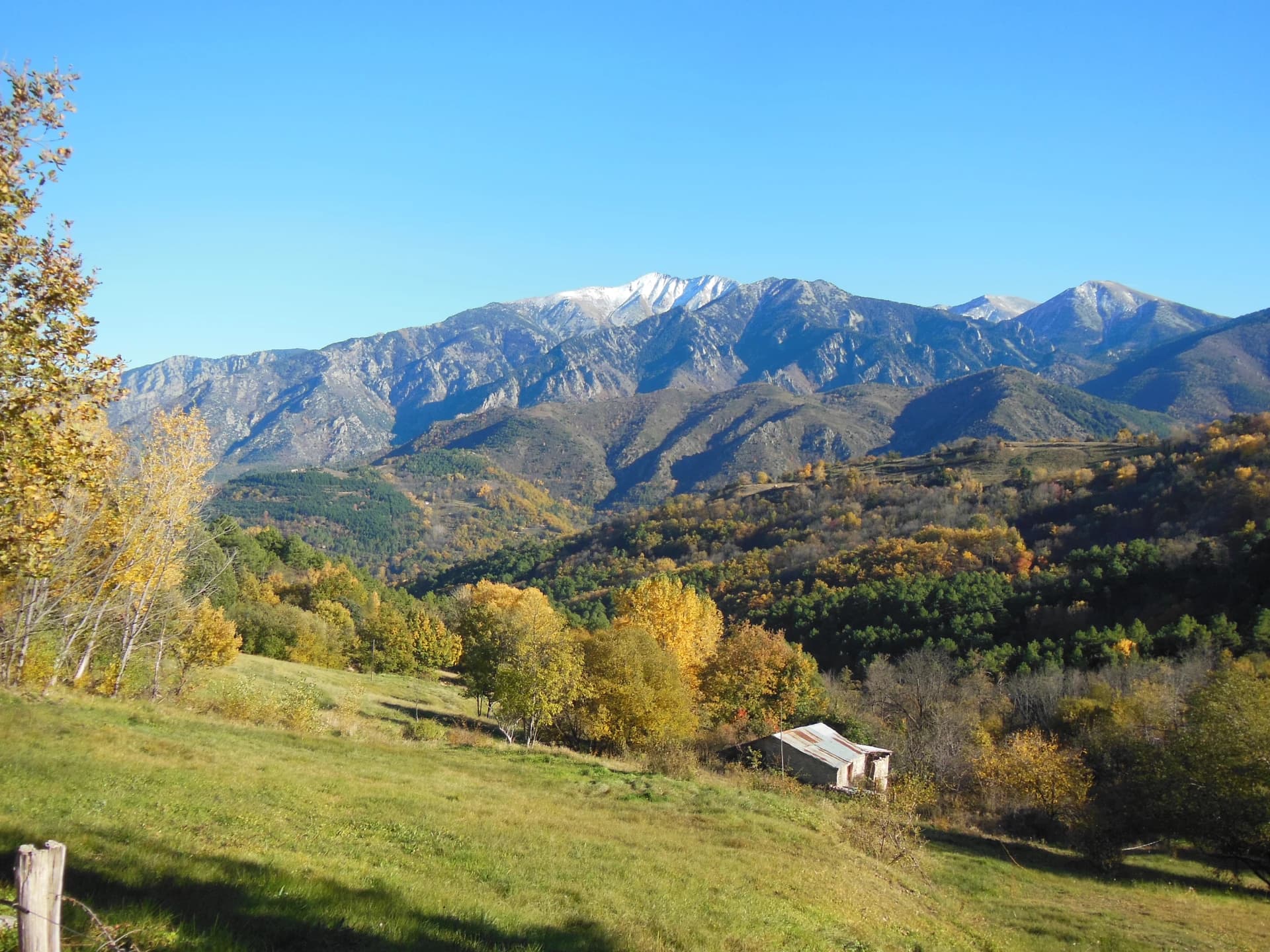 Alan Mattingly - Pic du Canigou (2785m), as seen from Coll de Fins, Sahorre commune, Pyrénées-Orientales, France.