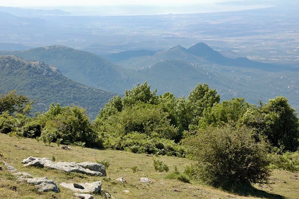 Doronenko - Puig Neulós, Serra de l'Albera