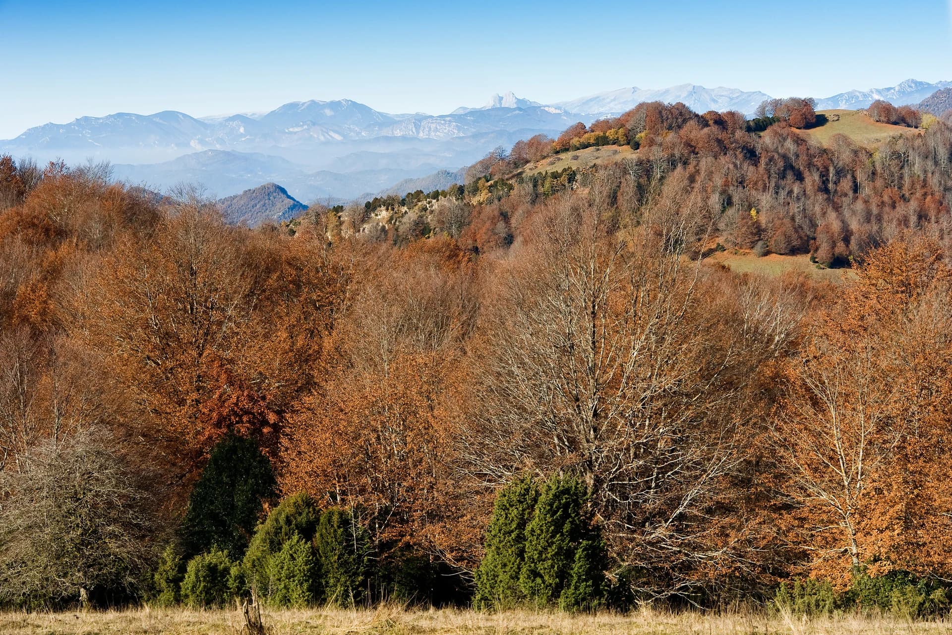 Mikipons - This is a a photo of an emblematic summit in Catalonia, Spain, with id: