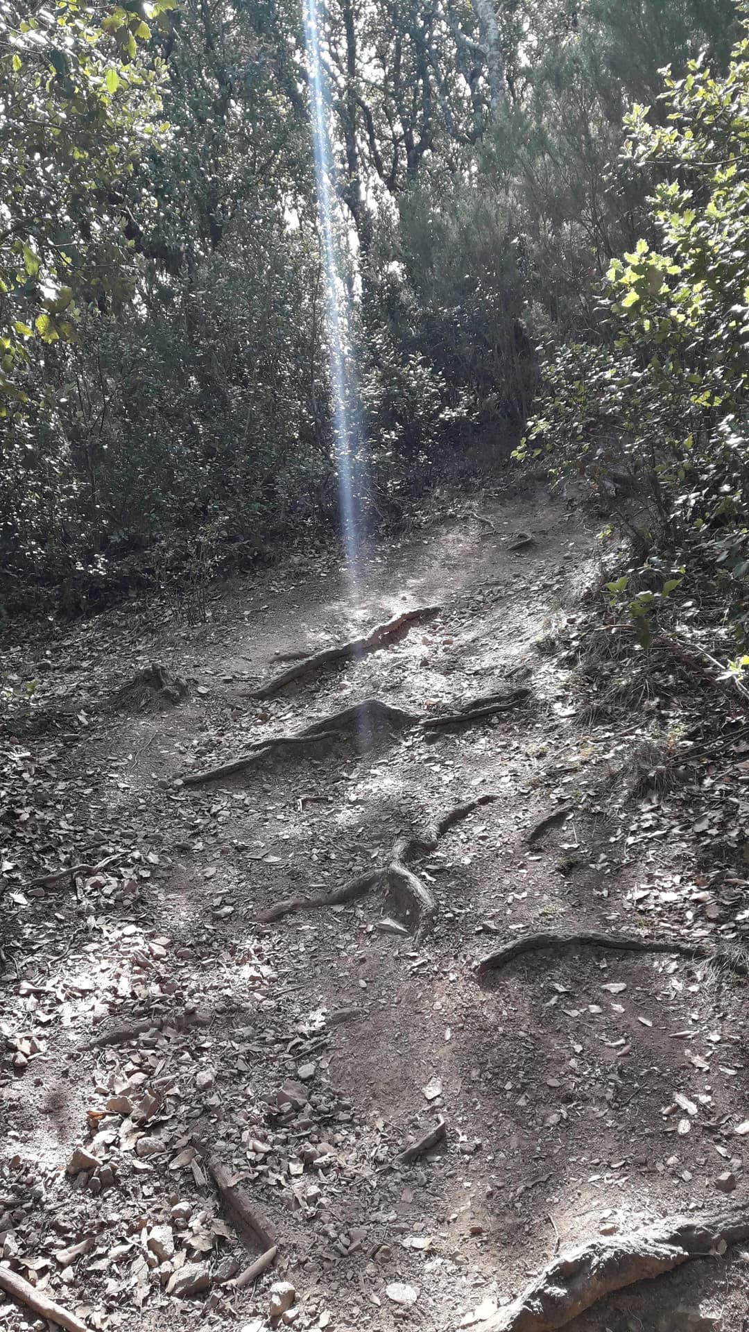 Pere López Brosa - Prop de Roca Centella