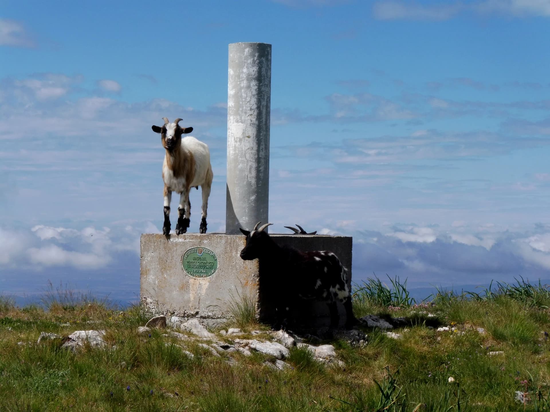 Isidre blanc - This is a a photo of a natural area in Catalonia, Spain, with id: